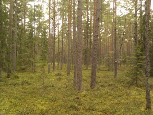 IMG_20120901_130650.jpg image