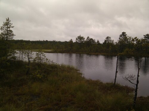 IMG_20120901_165411.jpg image