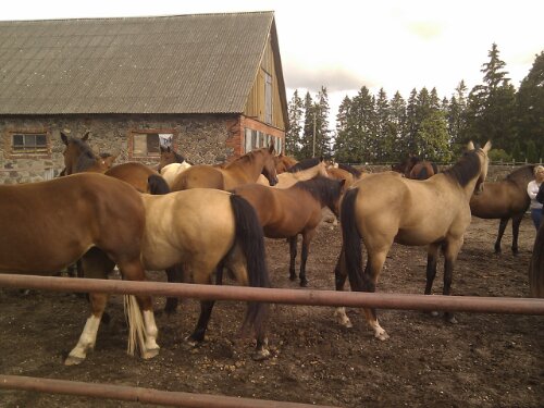 IMG_20120906_100758.jpg image