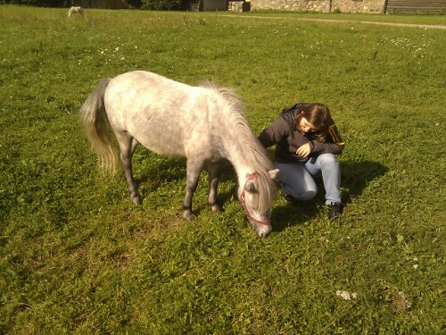 IMG_20120906_102205.jpg image