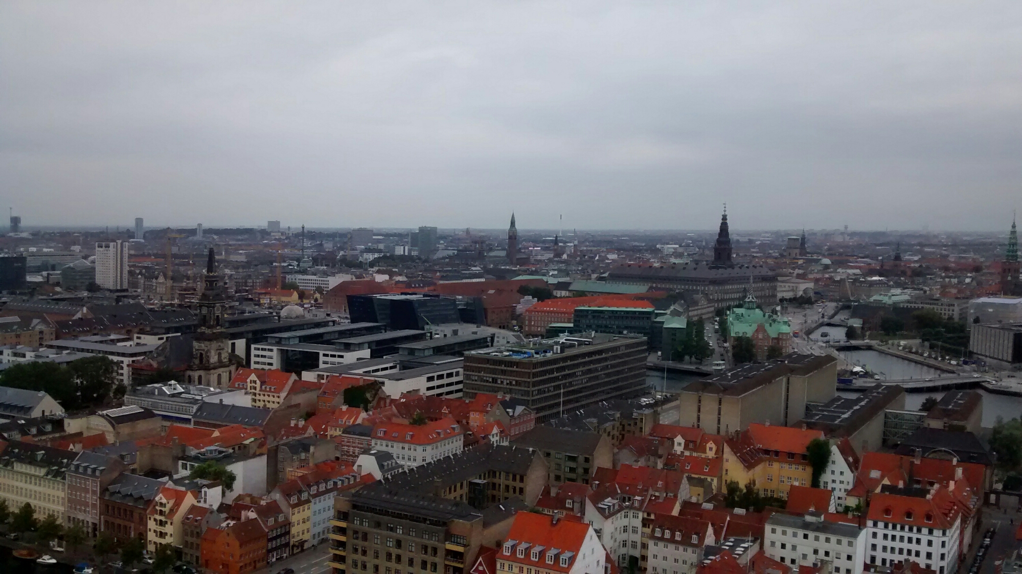 IMG_20150831_112849590.jpg image