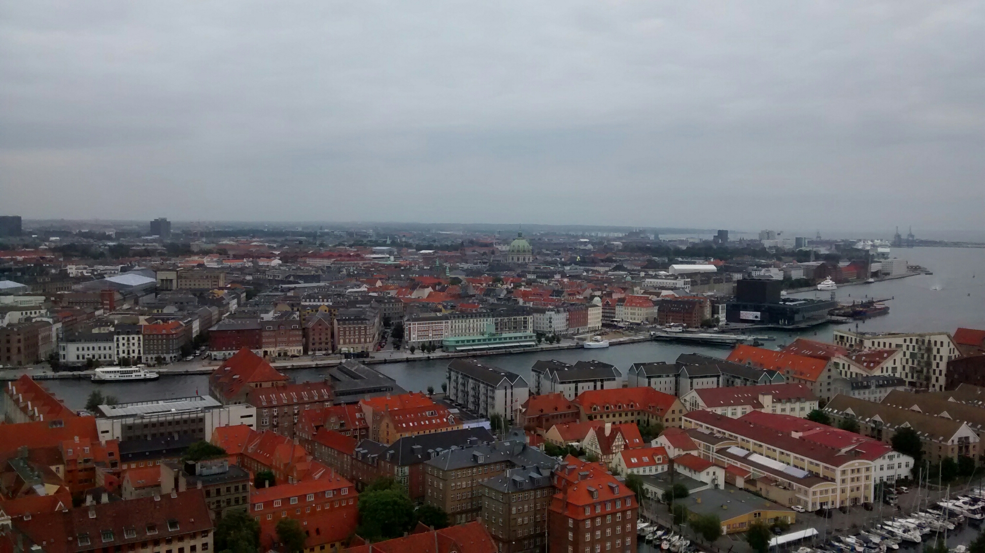 IMG_20150831_112852141.jpg image