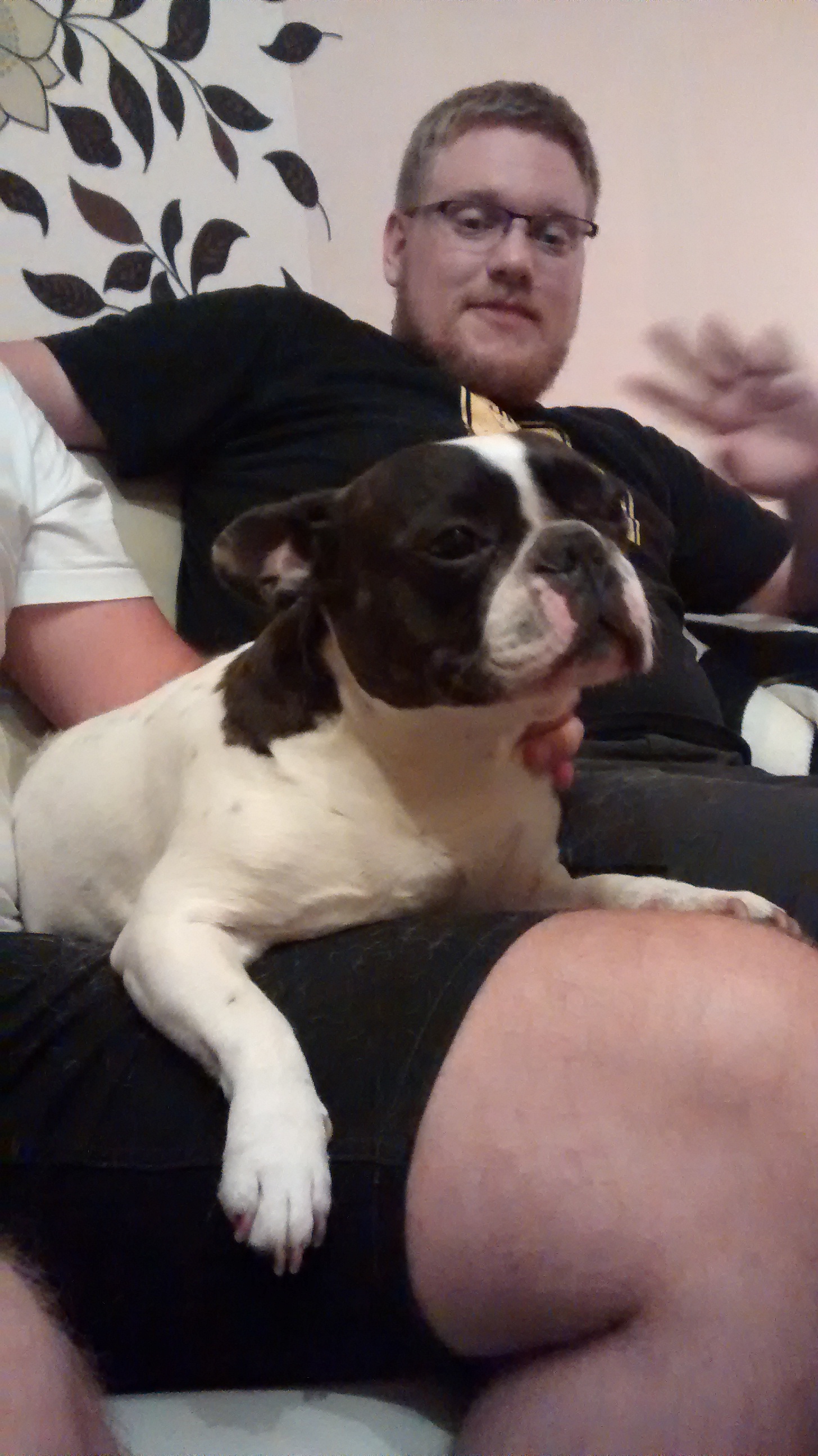 wp-1439848156087 image