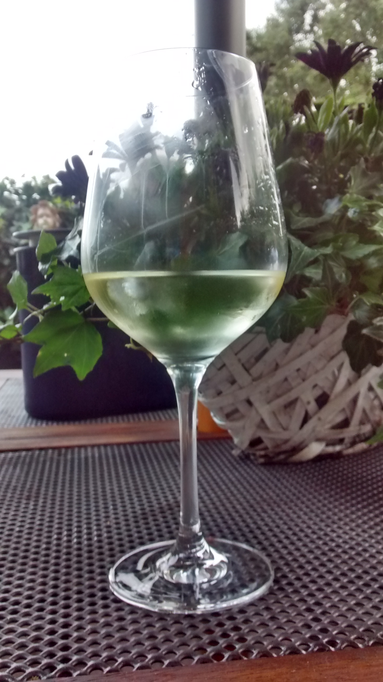 wp-1439848383546 image