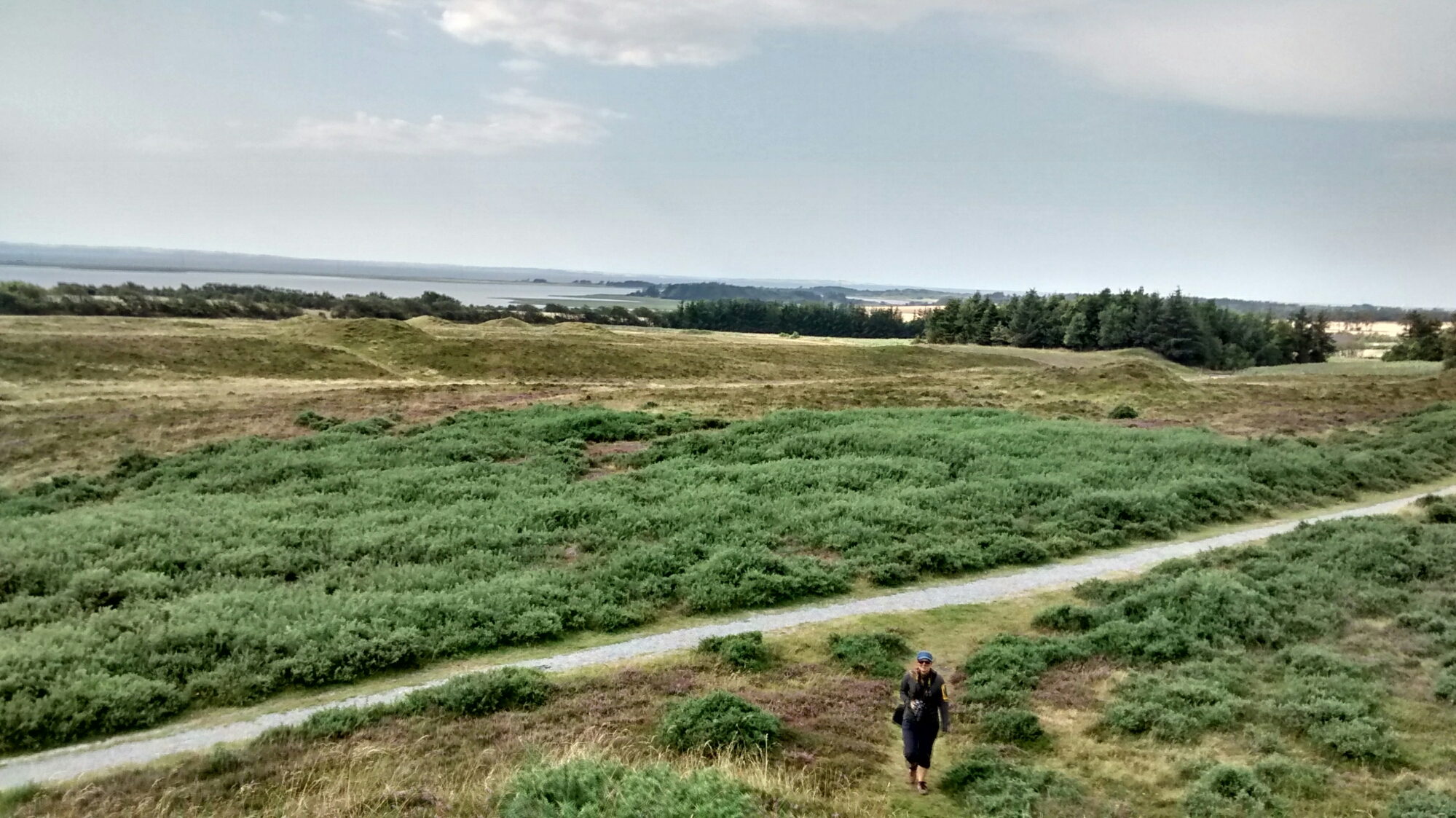 wp-1440433811322 image