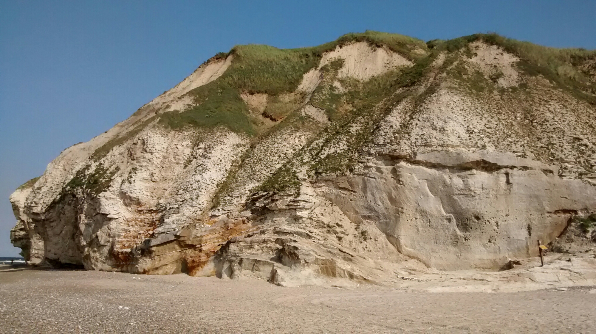 wp-1440434081391 image