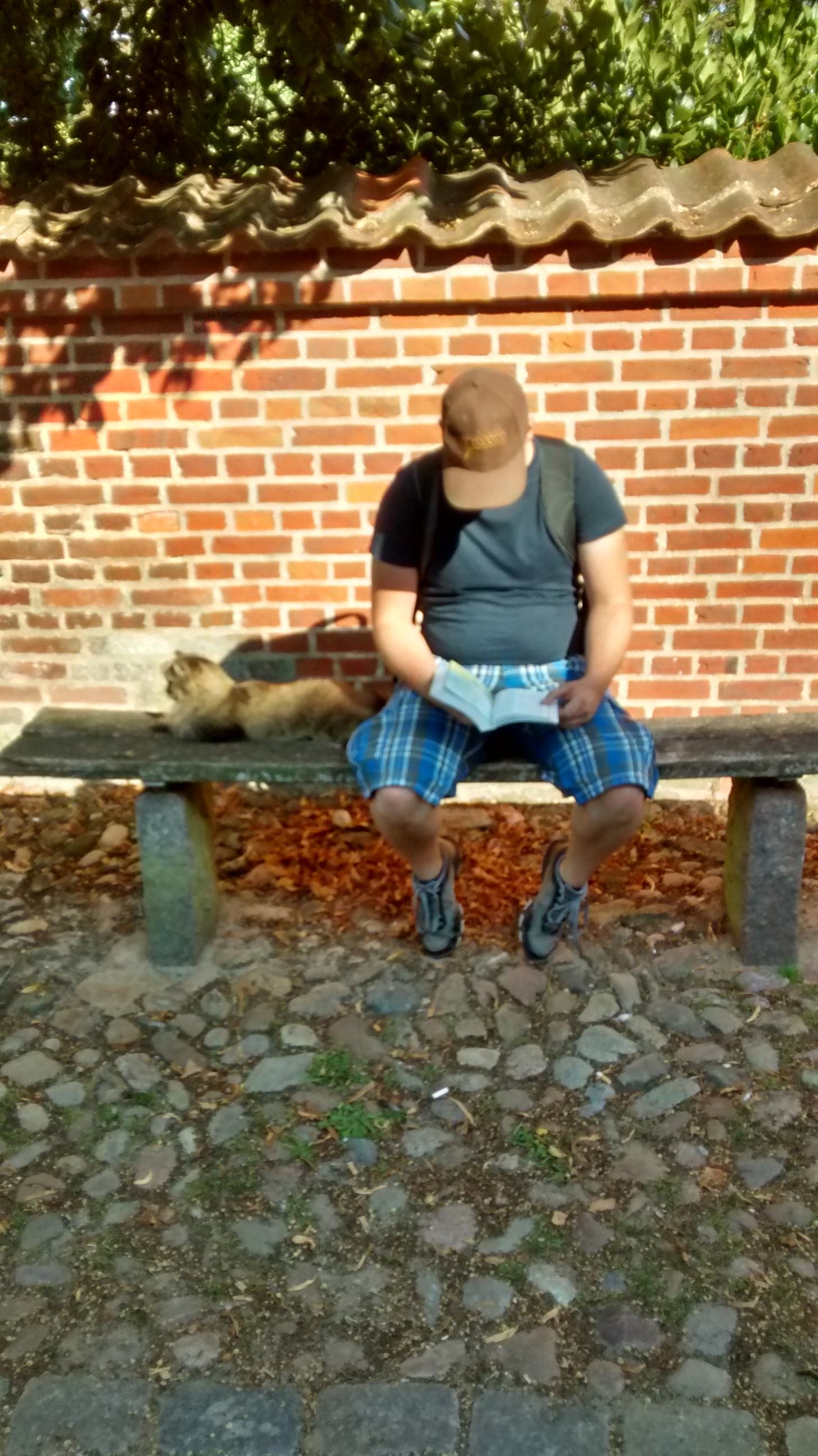 wp-1440434311719 image