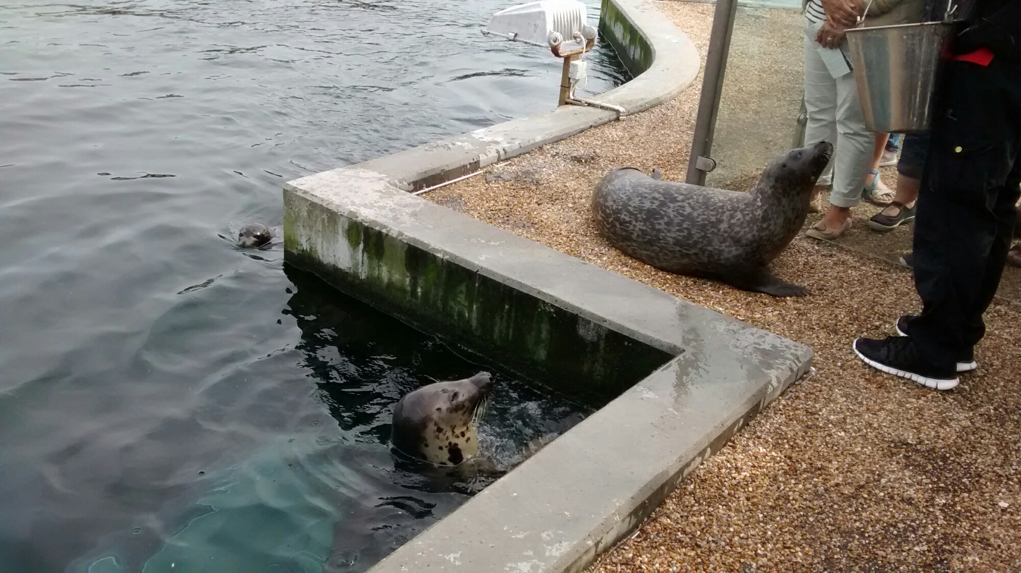 wp-1440516472953 image