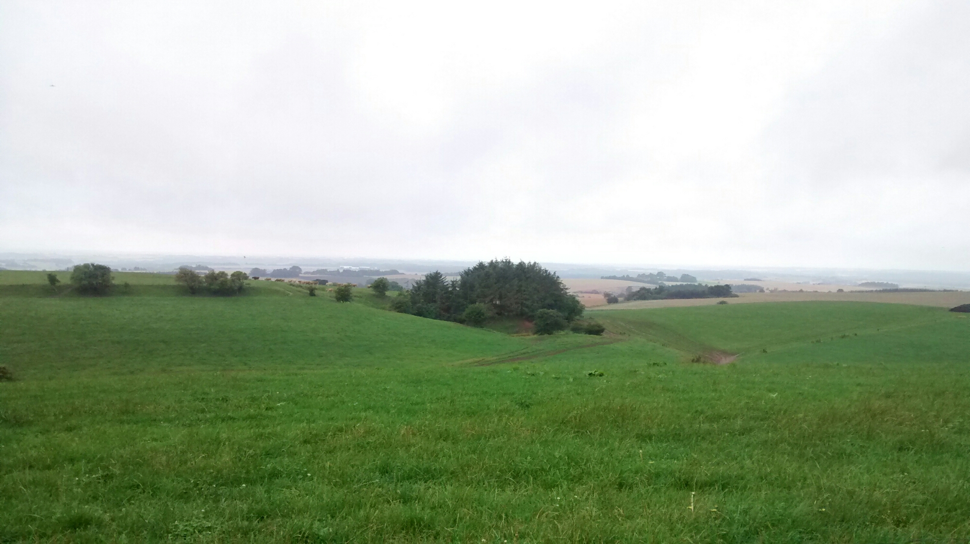 wp-1440669354505 image