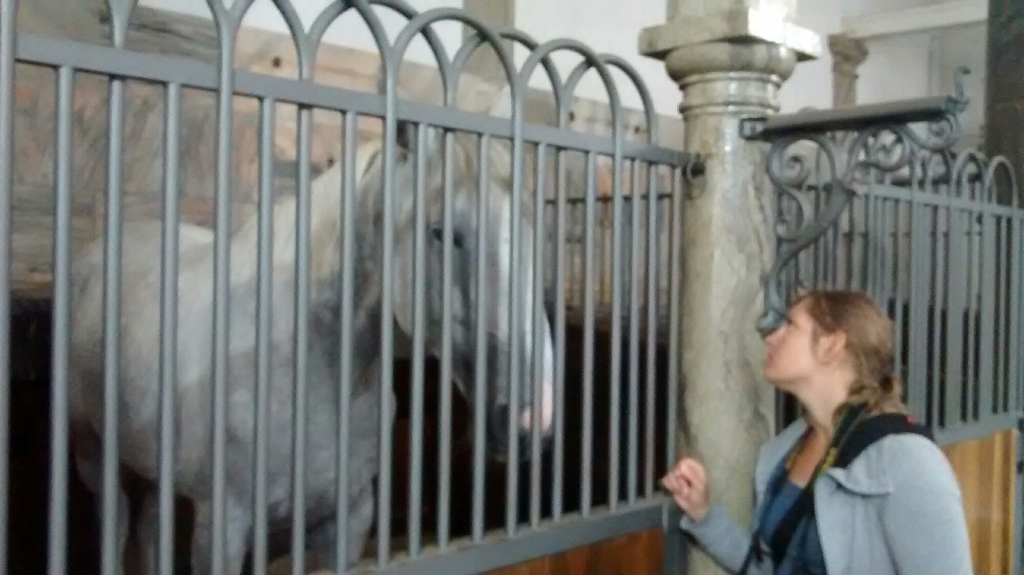 wp-1441030894344 image