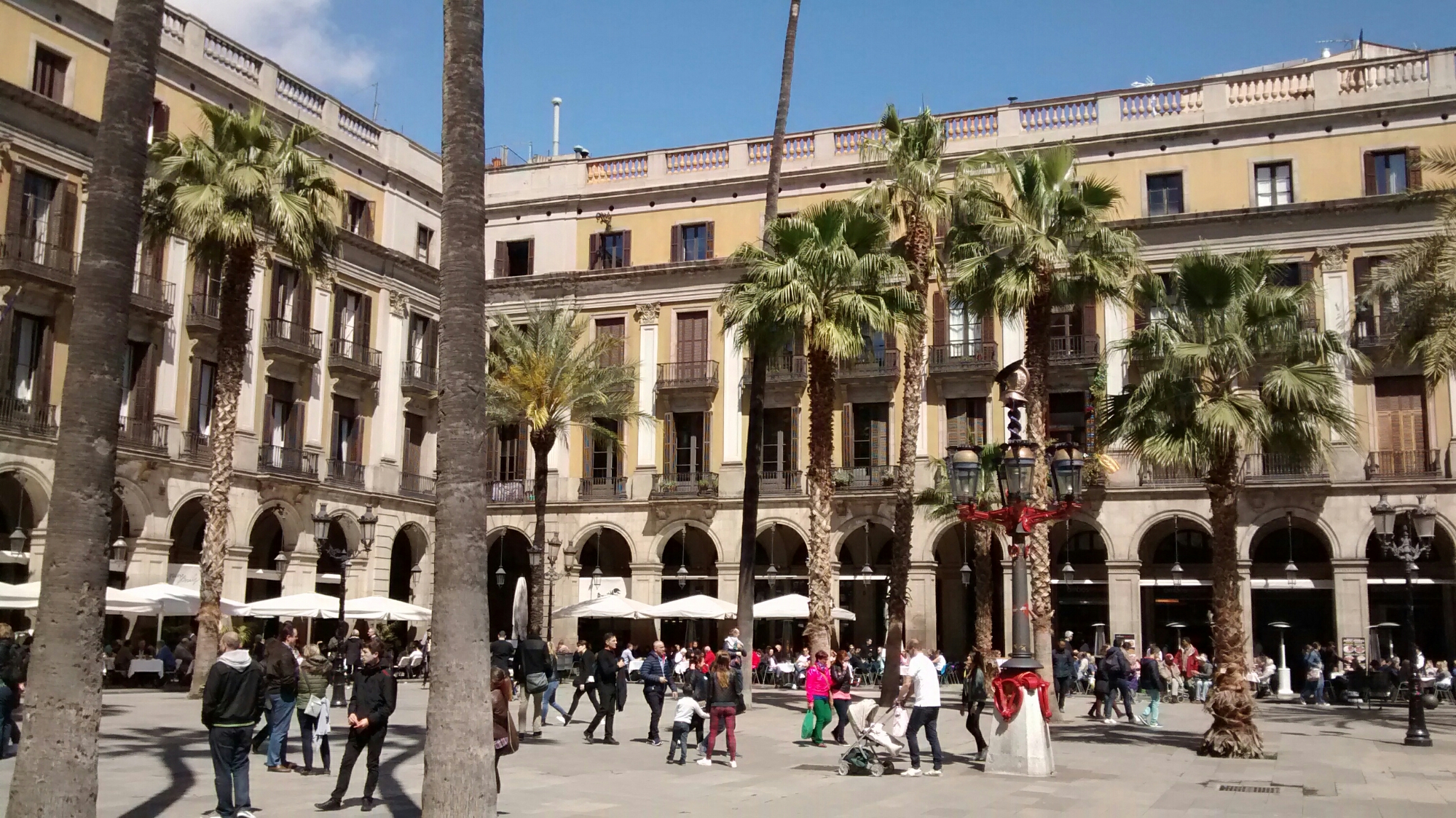 wp-1460185074395 image