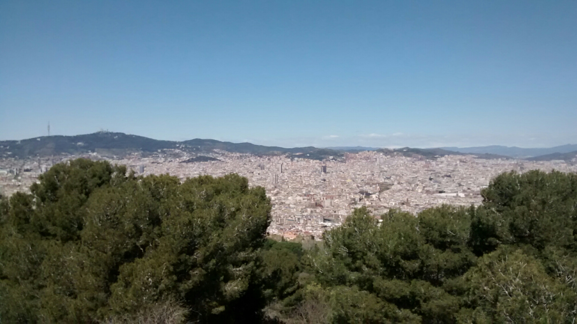 wp-1460239093766 image