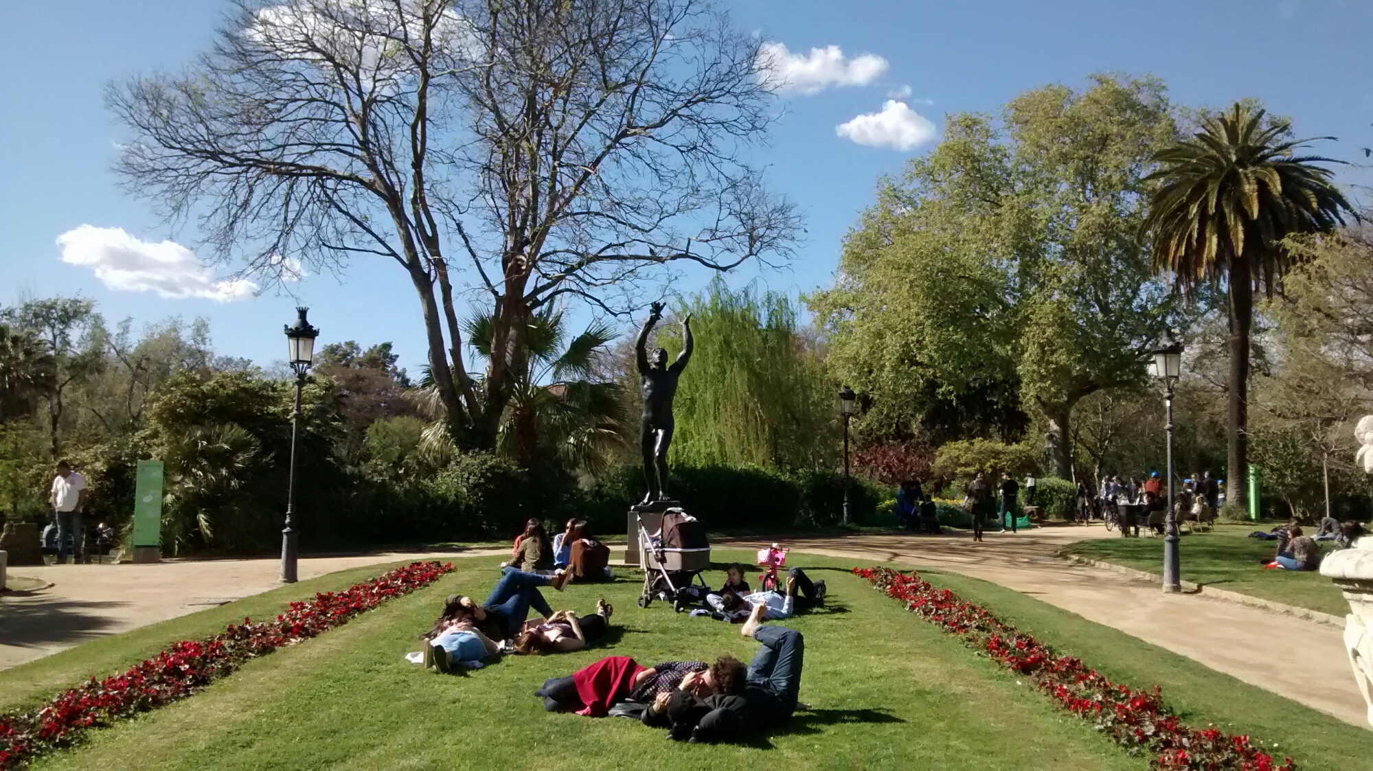 wp-1460239169348 image