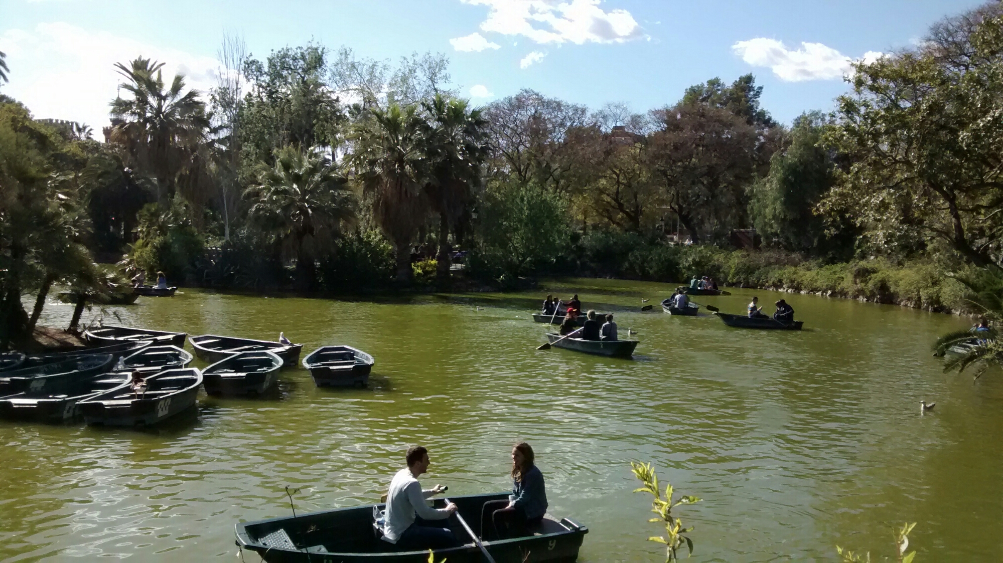 wp-1460239175603 image